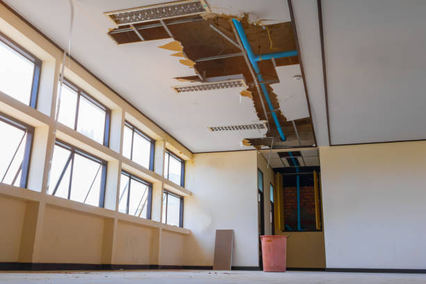 Best Carpet water damage restoration  in West Point, NY