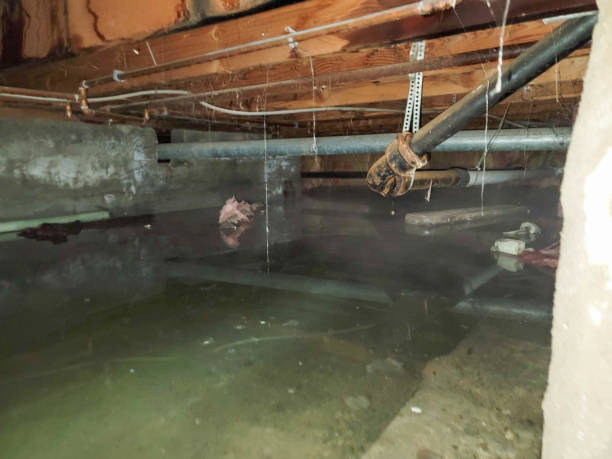 Best 24/7 water damage repair  in West Point, NY
