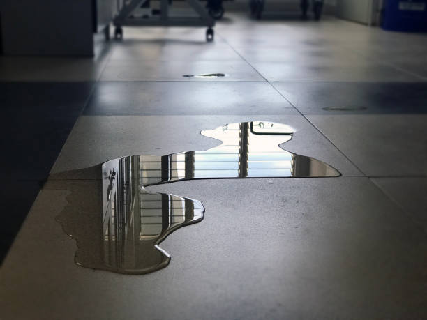 Best Water damage contractors near me  in West Point, NY